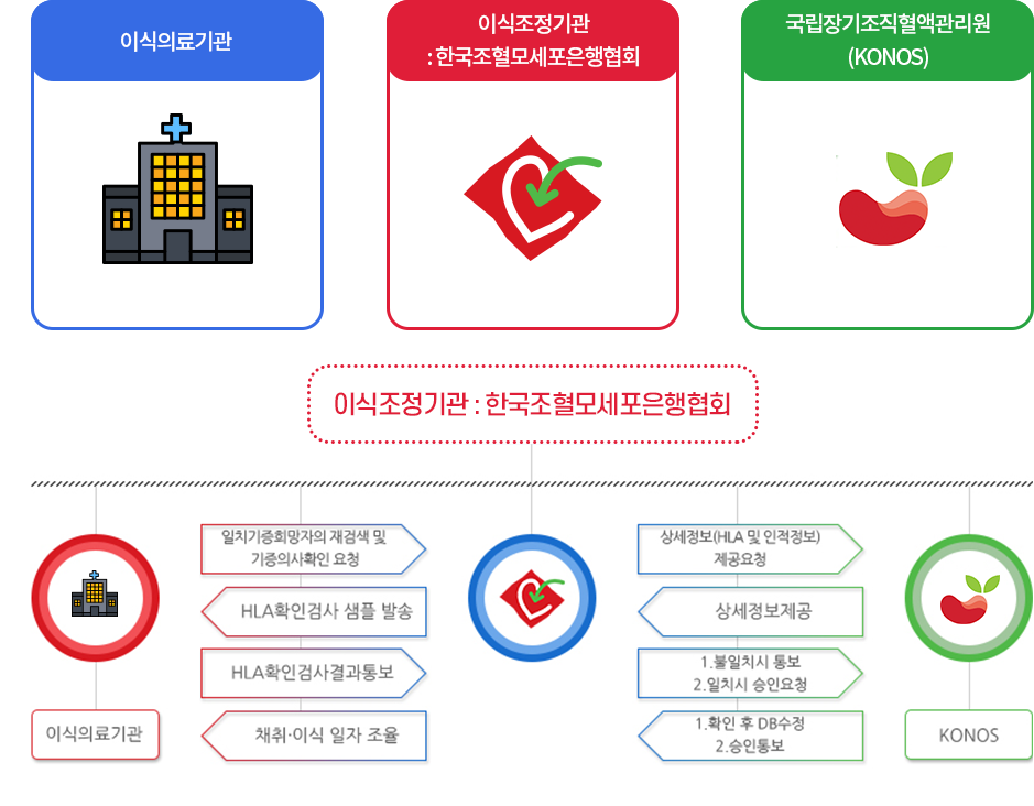 이식의료기관, 이식조정기관:한국조혈모세포은행협회, 국립장기조직혈액관리원(KONOS)