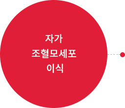 자가 조혈모세포 이식